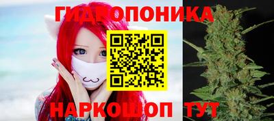 молекула духа Ликино-Дулёво